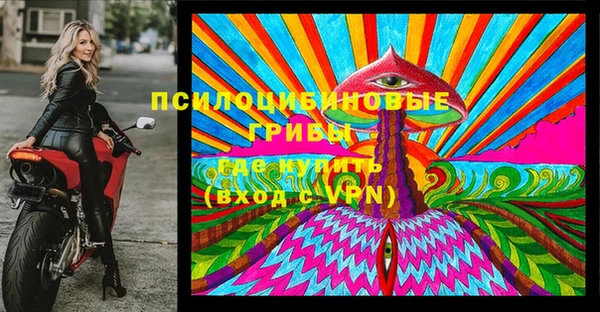 соль курить ск Михайловка