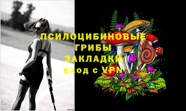 соль курить ск Михайловка