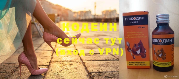 хмурый Аша