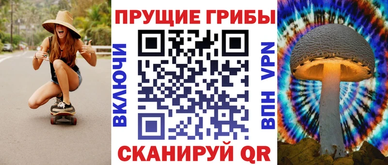 Псилоцибиновые грибы Cubensis  Полярный 